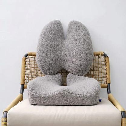 Panea-Ultimate Sitting Comfort Bundle