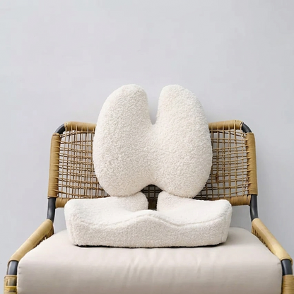 Panea-Ultimate Sitting Comfort Bundle